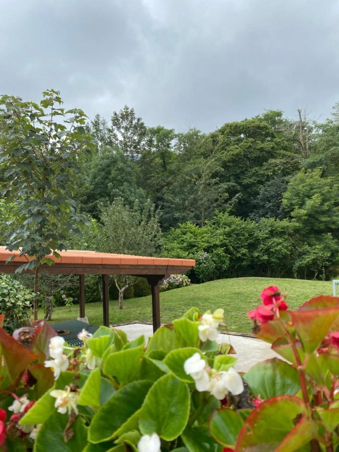 2 Apartamentos En Villa Con Piscina Privada En Asturias El Marquesau Noriega Eksteriør billede