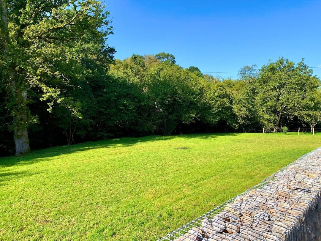 2 Apartamentos En Villa Con Piscina Privada En Asturias El Marquesau Noriega Eksteriør billede